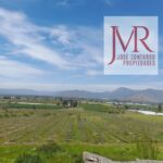 VENDO PARCELA, FRENTE A EX FUNDO EL CORAZÓN DE PALQUIBUDI – COMUNA DE RAUCO