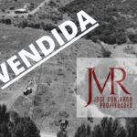 VENDO – PARCELA COMUNA DE MAULE – SECTOR SANTA ROSA DE LAVADEROS