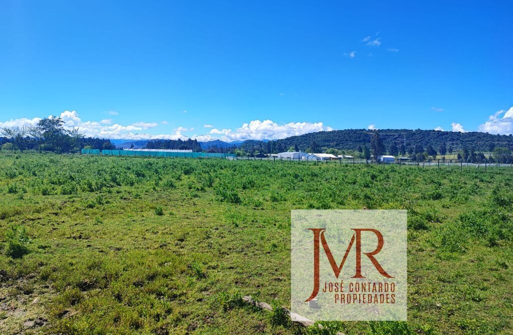 VENDO PARCELA – QUERI, SAN CLEMENTE (CAMINO AL CANAL MARIPOSA)