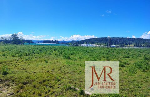 VENDO PARCELA – QUERI, SAN CLEMENTE (CAMINO AL CANAL MARIPOSA)