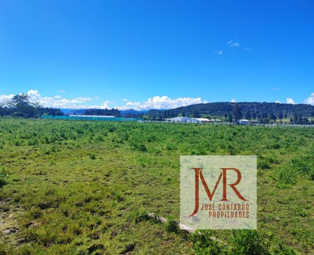 VENDO PARCELA – QUERI, SAN CLEMENTE (CAMINO AL CANAL MARIPOSA)